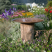 Soucoupe d'eau - Atelier Cortena