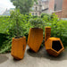 Jardinière Hexago - Atelier Cortena